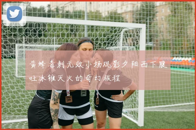 黄蜂毒刺无效小杨观影夕阳西下腹吐冰锥灭火的奇幻旅程
